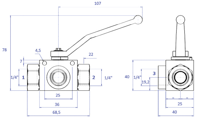 Disegno 733.07.04